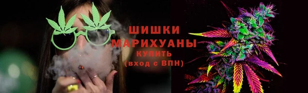 spice Богородицк